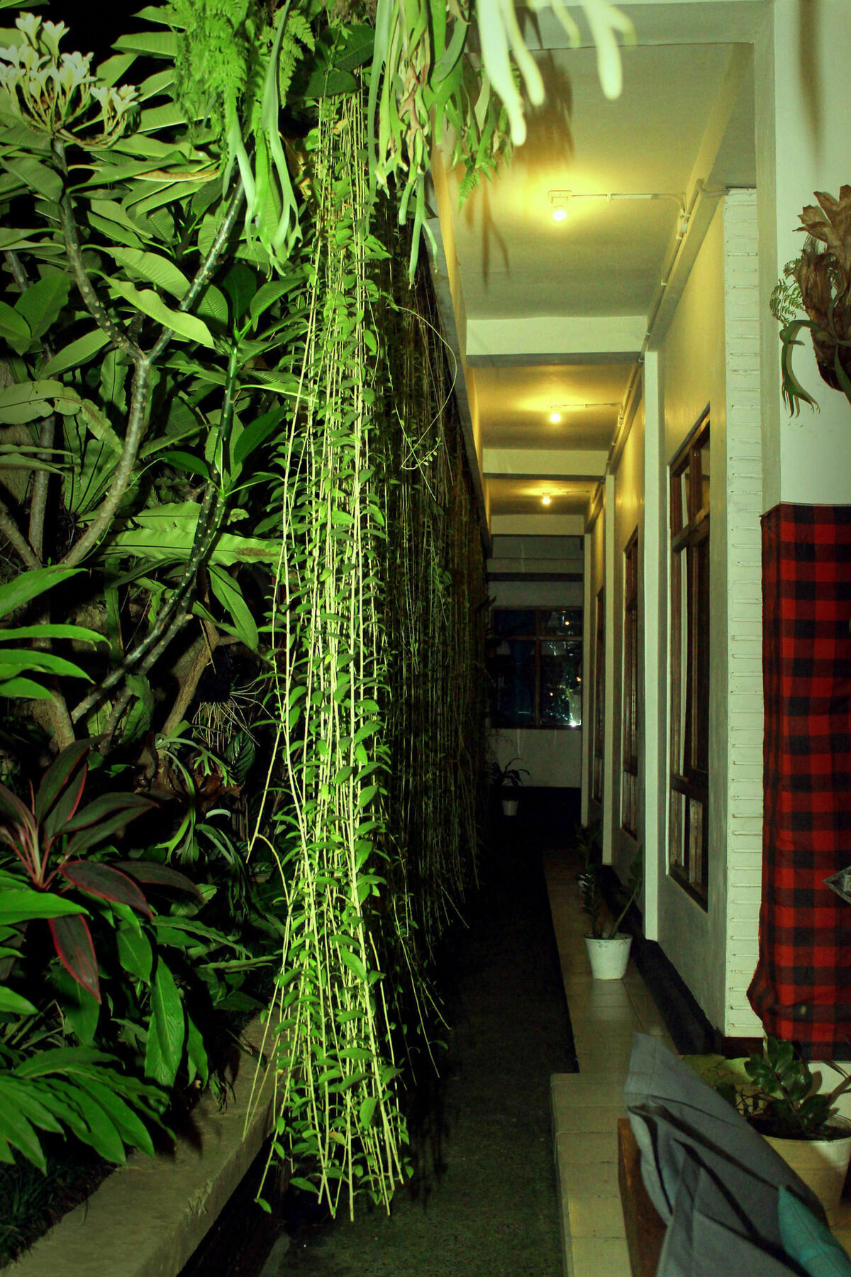 Albergue Friendly House Bali Ubud Exterior foto